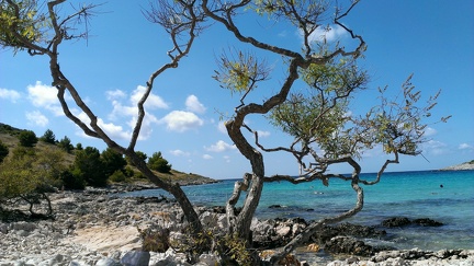 IMAG0958