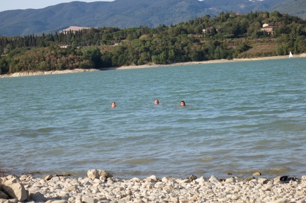 IMG 1571 (Large)