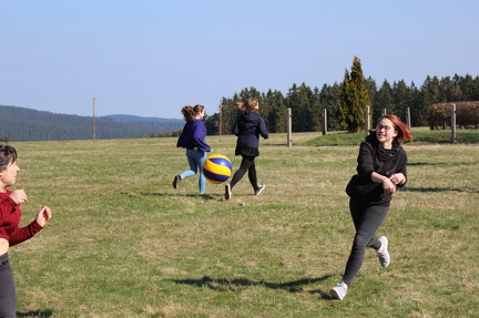 IMG 4996